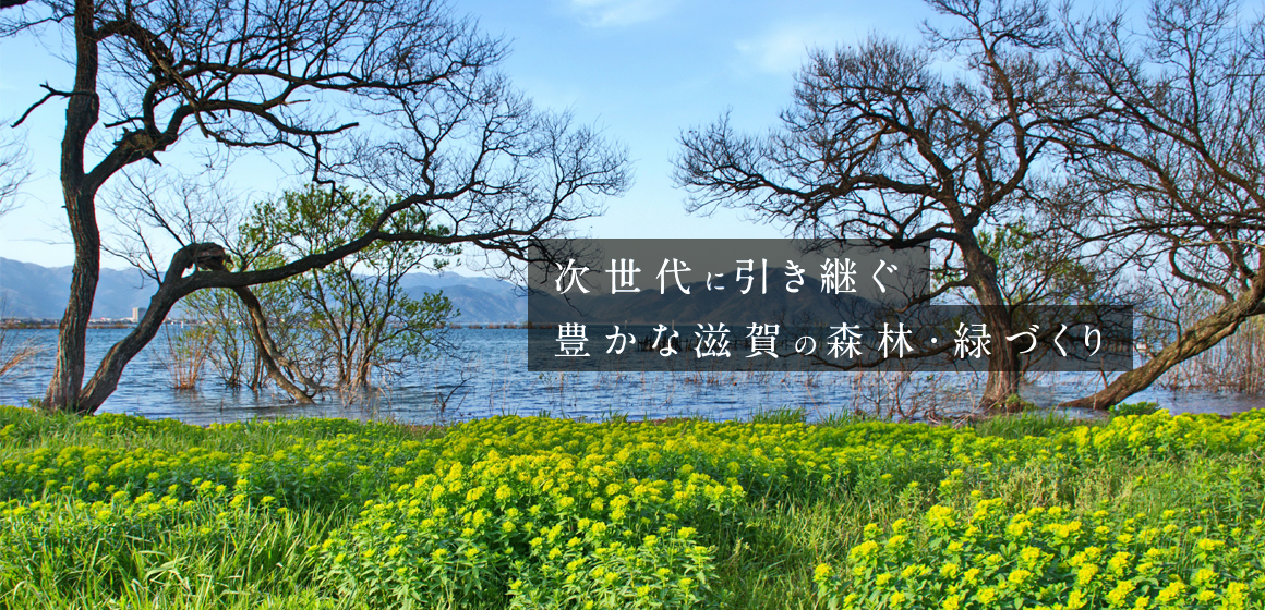 次世代に引き継ぐ豊かな滋賀の森林・緑づくり