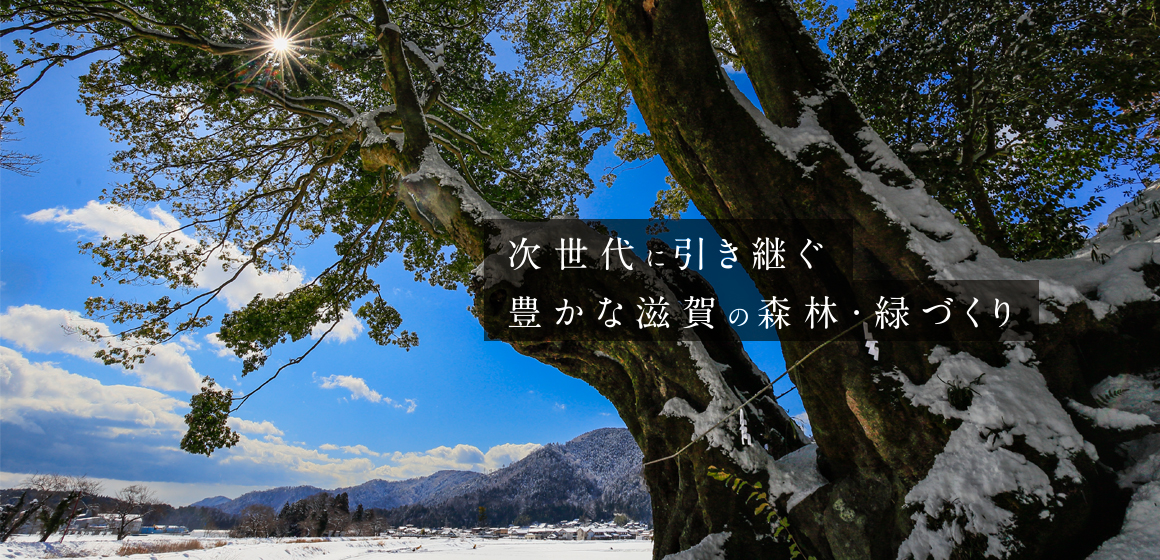次世代に引き継ぐ豊かな滋賀の森林・緑づくり